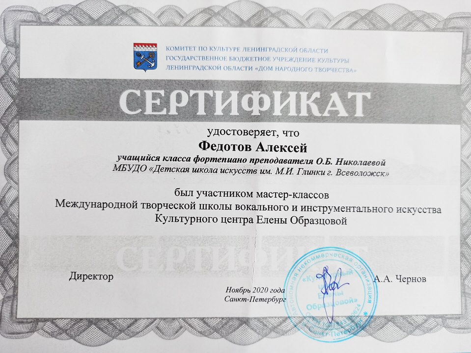 Сертификат Участия в мастер - классах 